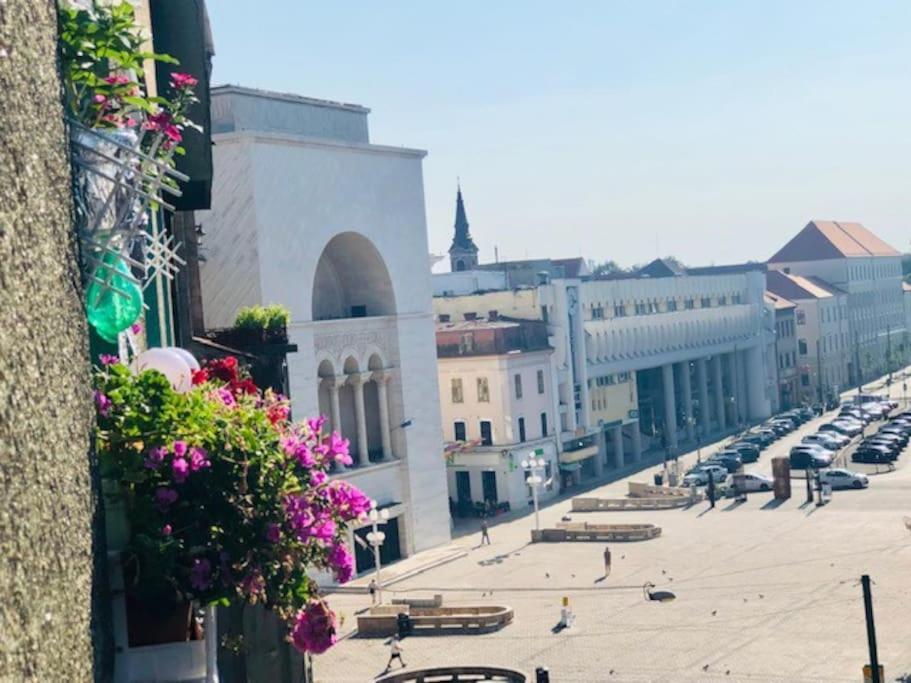 Joy City Stay Republicii 19 Тимишоара Экстерьер фото